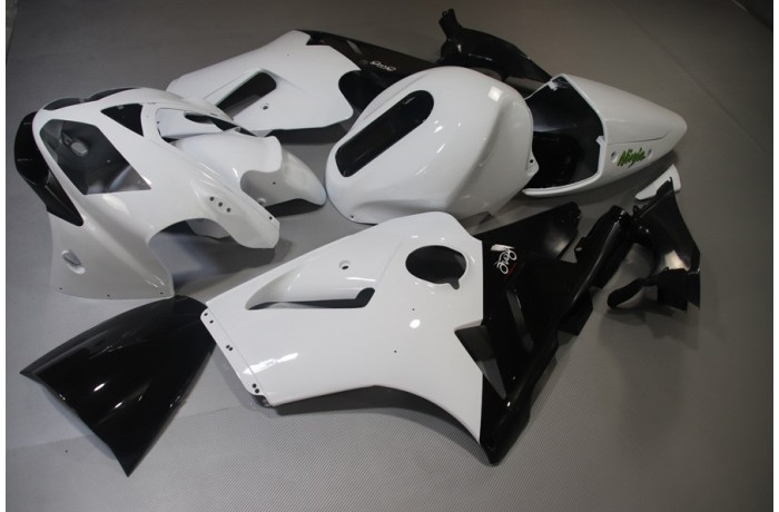Carénage complet KAWASAKI ZX12R 2002 - 2006