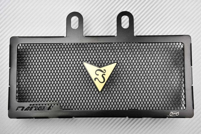 Kühlergrill- Abdeckung AVDB BMW R1200R NINE-T 2013 - 2023 Kühlergrill- Abdeckung AVDB BMW R1200R NINE-T 2013 - 2023