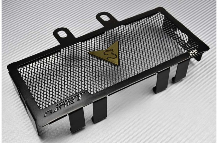 Kühlergrill- Abdeckung AVDB BMW R1200R NINE-T 2013 - 2023 Kühlergrill- Abdeckung AVDB BMW R1200R NINE-T 2013 - 2023