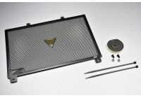 Kühlergrill- Abdeckung AVDB KAWASAKI Z900 2017 - 2019