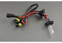 Kit Xenon  H9 / H11 - STANDARD