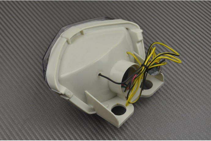 Fanale posteriore indicatori di direzione integrato KAWASAKI NINJA 250 R 2008 - 2012 Fanale posteriore indicatori di direzione integrato KAWASAKI NINJA 250 R 2008 - 2012