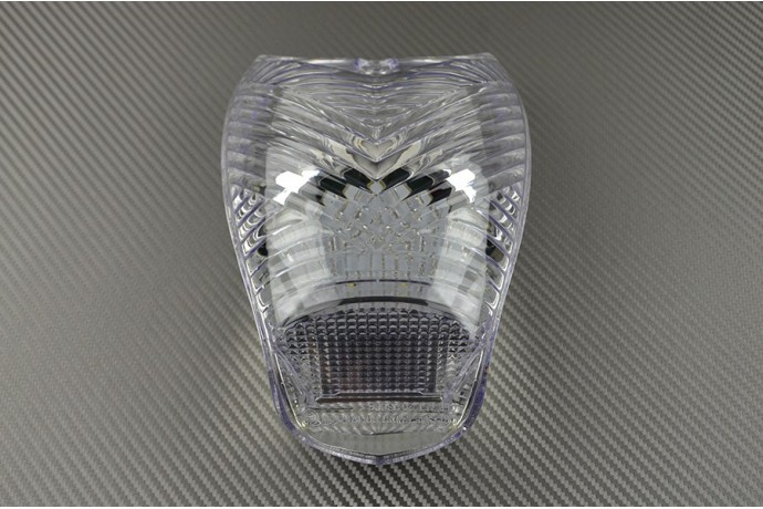 Fanale posteriore indicatori di direzione integrato BMW K1200R / K1200S / R1200R 2004 - 2014