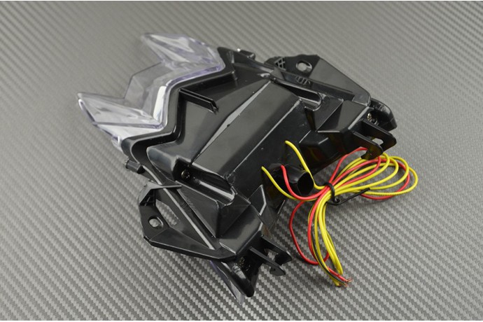 LED Taillight with Integrated turn signals BMW S1000R / S1000RR / HP4 2010 - 2019