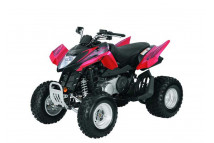 DVX 250 2005-2008