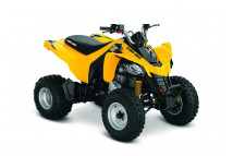 DS 250 2005-2024