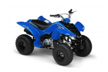 YFM RAPTOR 80